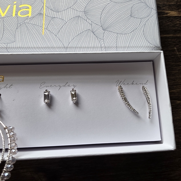 Silver Earring Set - Picture 5 of 10